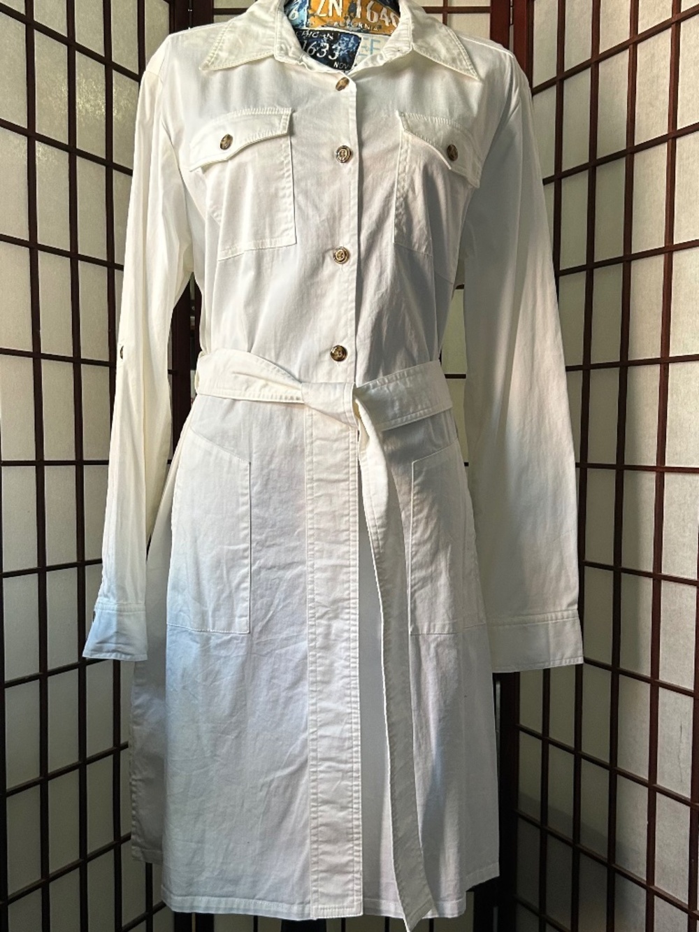 Joan Rivers Shirtdress